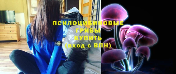 героин Горняк
