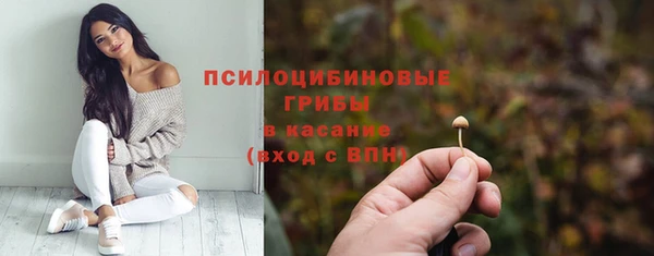 героин Горняк