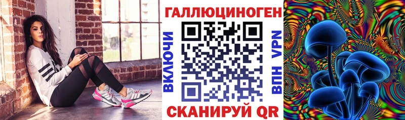 Галлюциногенные грибы Psilocybe даркнет сайт Рубцовск